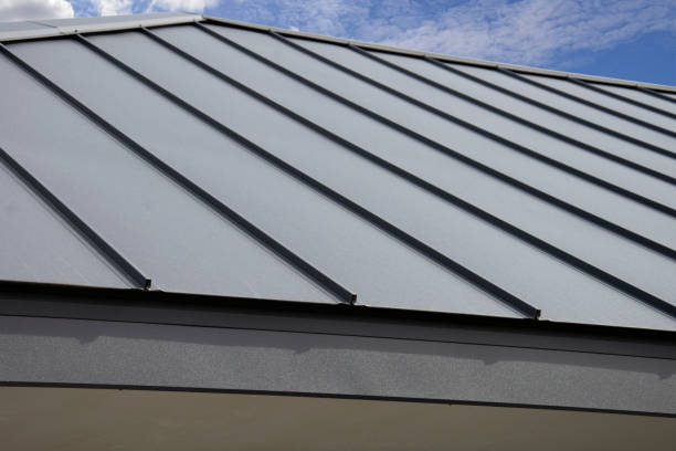 Best Commercial Roofing Services  in Hoopeston, IL