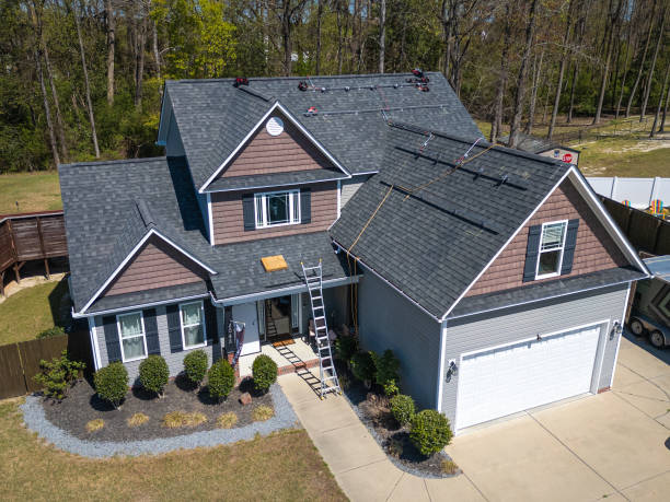 Best Roof Moss and Algae Removal  in Hoopeston, IL